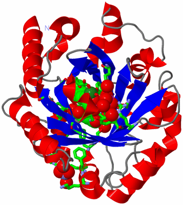 Image Asym./Biol. Unit - sites