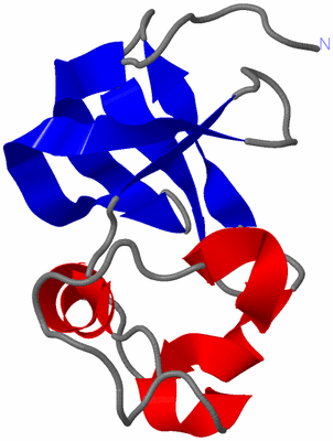 Image NMR Structure - model 1