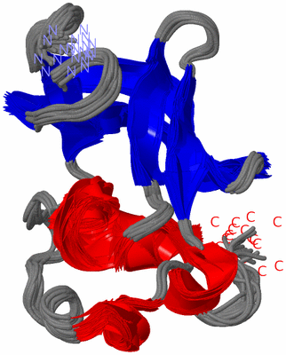 Image NMR Structure - all models