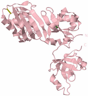 Image Biological Unit 3
