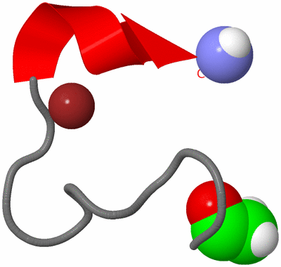 Image NMR Structure - model 1