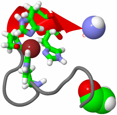 Image NMR Structure - model 1, sites