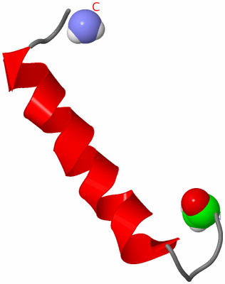 Image NMR Structure - model 1