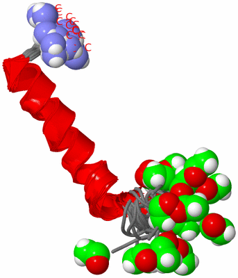 Image NMR Structure - all models
