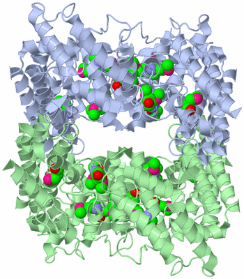 Image Biological Unit 2