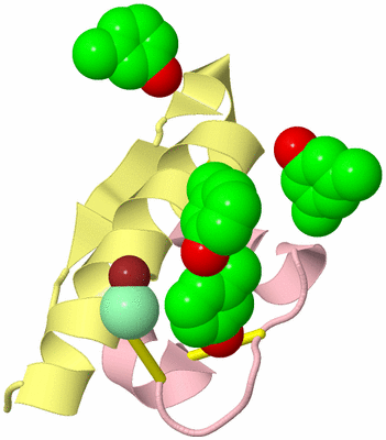 Image Biological Unit 2