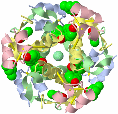 Image Biological Unit 3