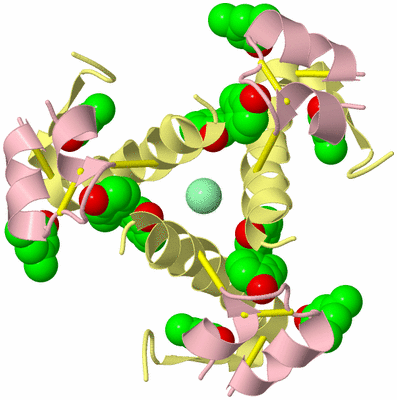 Image Biological Unit 7