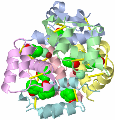 Image Asym./Biol. Unit