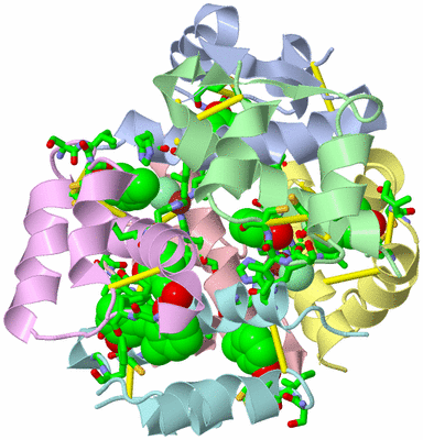 Image Asym./Biol. Unit - sites