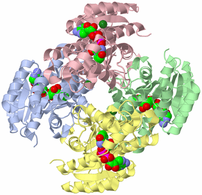 Image Biological Unit 1