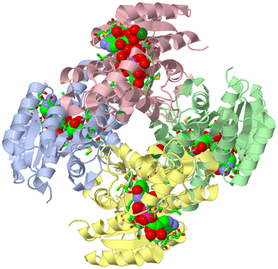 Image Biol. Unit 1 - sites