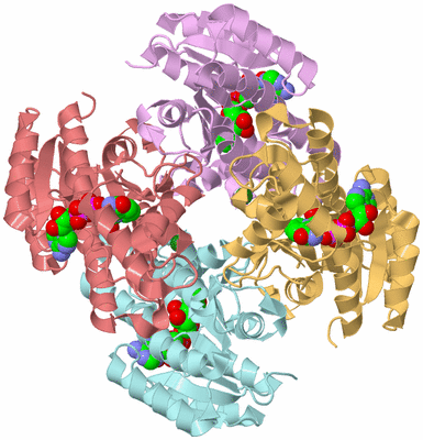 Image Biological Unit 2