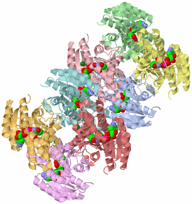 Image Biological Unit 3