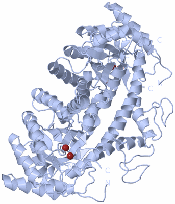 Image Biological Unit 1