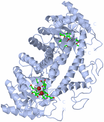 Image Biol. Unit 1 - sites