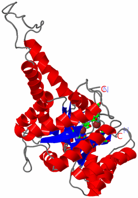 Image Asym. Unit - sites