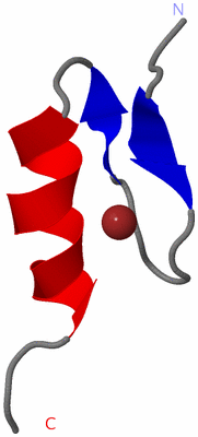 Image NMR Structure - model 1