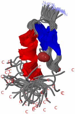 Image NMR Structure - all models