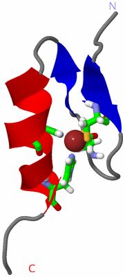 Image NMR Structure - model 1, sites