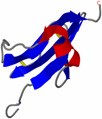 Image NMR Structure - model 1