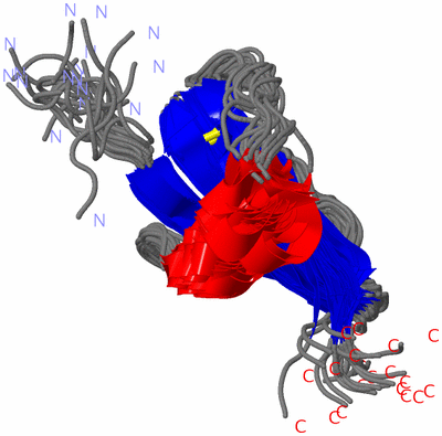 Image NMR Structure - all models