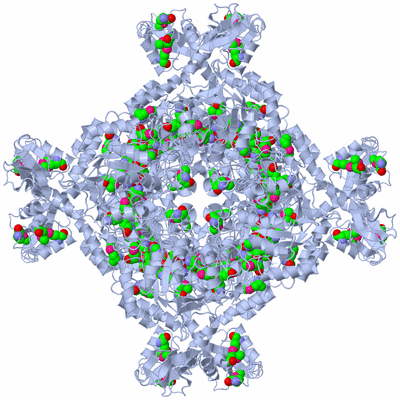 Image Biological Unit 2