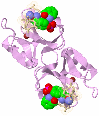 Image Biological Unit 5