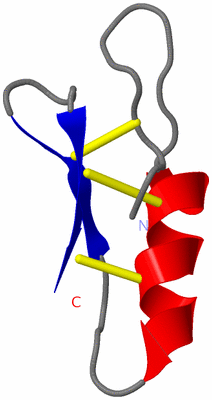 Image NMR Structure - model 1