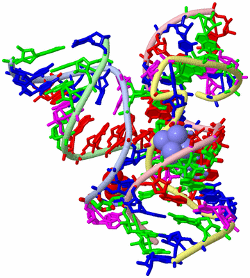 Image Asym./Biol. Unit - sites