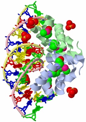 Image Biological Unit 1