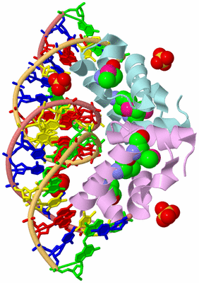 Image Biological Unit 2