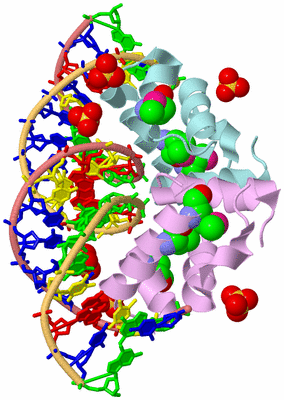 Image Biological Unit 2