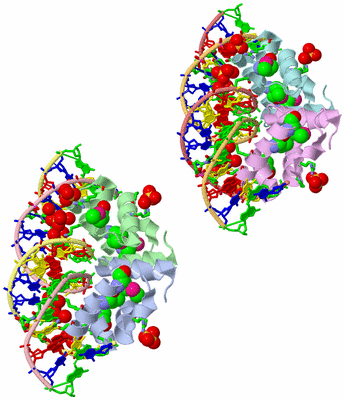 Image Asym. Unit - sites