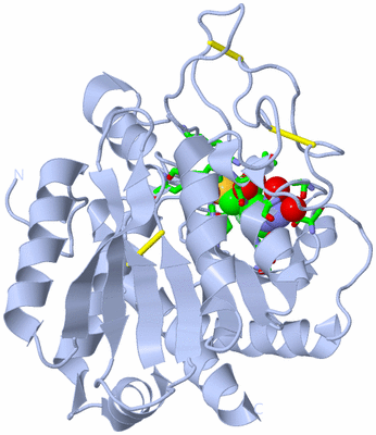 Image Biol. Unit 1 - sites