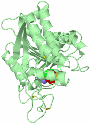 Image Biological Unit 2