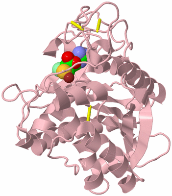 Image Biological Unit 3