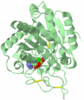 Image Biological Unit 2