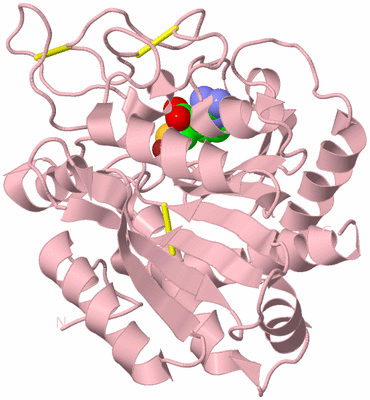 Image Biological Unit 3