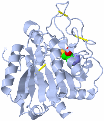 Image Biological Unit 1