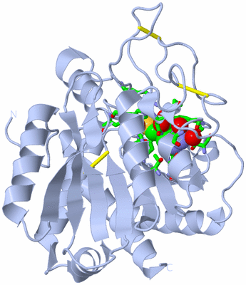 Image Biol. Unit 1 - sites