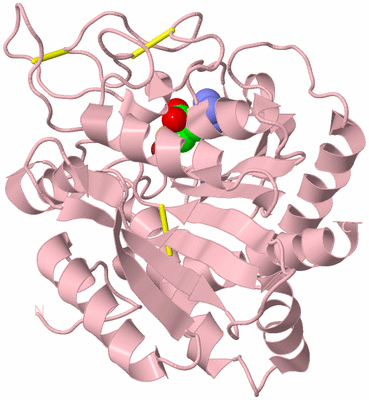 Image Biological Unit 3