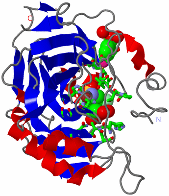 Image Asym./Biol. Unit - sites