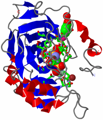Image Asym./Biol. Unit - sites