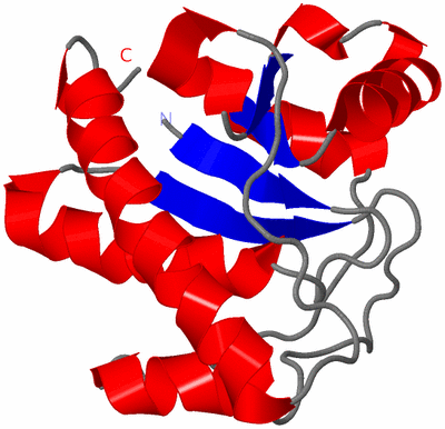 Image NMR Structure - model 1