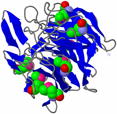 Image Asym./Biol. Unit