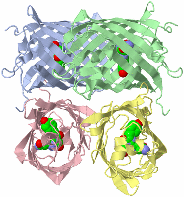 Image Asym./Biol. Unit