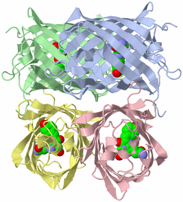 Image Asym./Biol. Unit