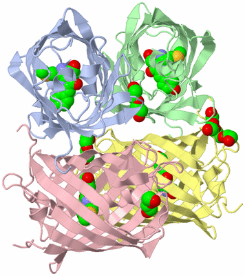 Image Biological Unit 1