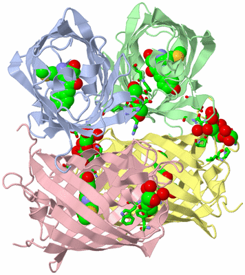 Image Biol. Unit 1 - sites